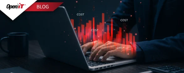 IT professional analyzing declining software cost charts on a laptop, representing hidden costs draining an IT budget