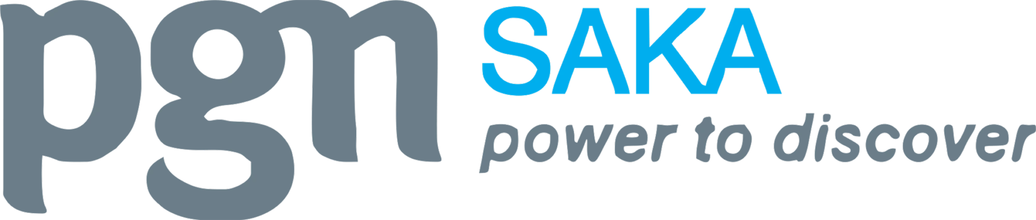 Saka Energi logo