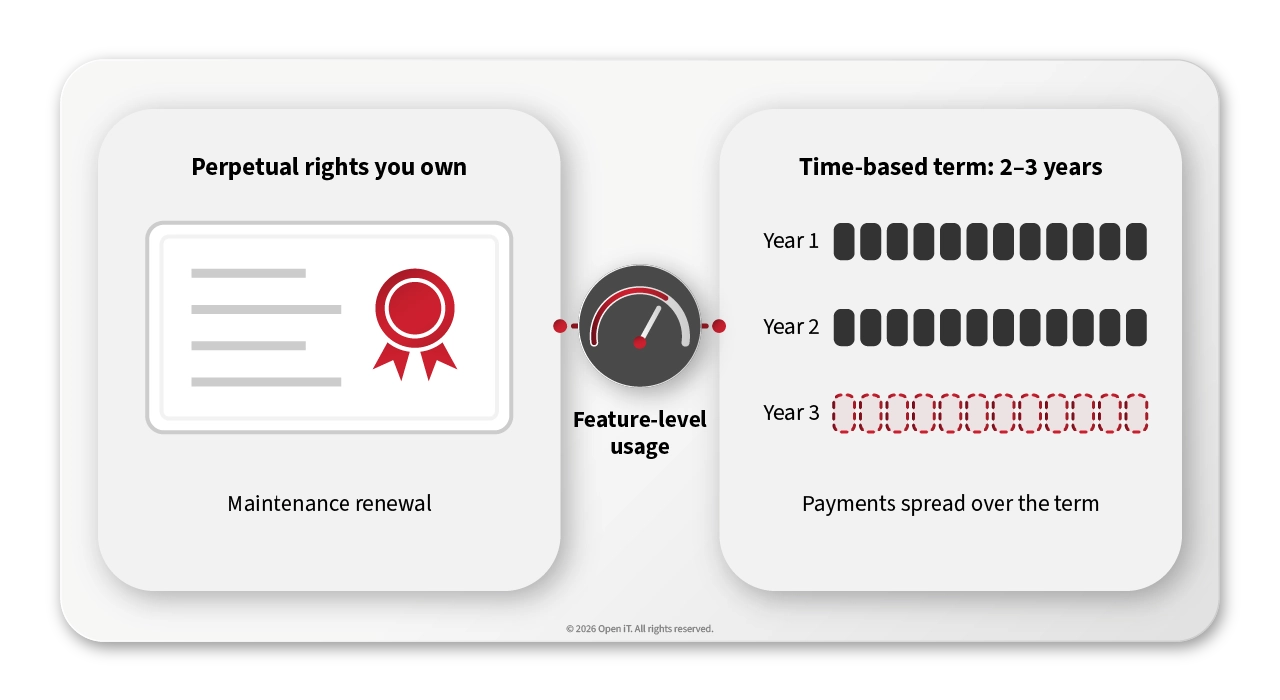 Illustration comparing perpetual license rights and a two-to-three-year time-based term, both measured by one feature-level usage meter.
